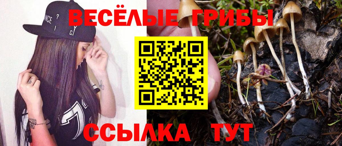 Псилоцибиновые грибы мухоморы  Вход с VPN  Галлюциногенные грибы ЛСД  Ревда 
